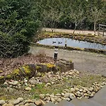 Romantisches Waldhaus Mit Privatsauna, Grill Und Feuerschtelle Villa *